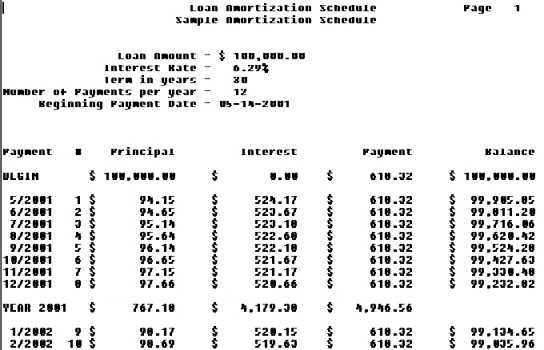 Printed Amortization Schedule Example
