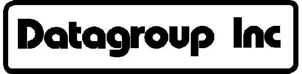 Datagroup Inc. logo